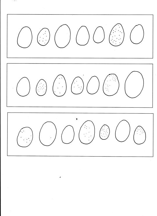 egg 001